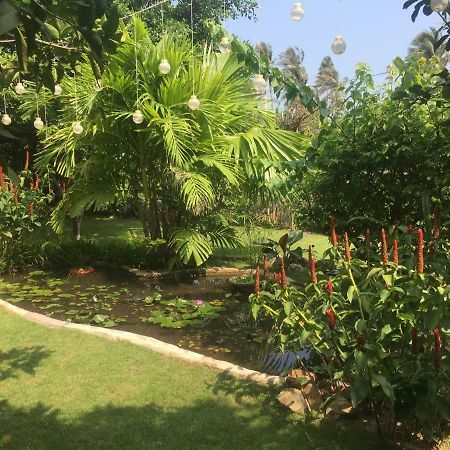 Le Jardin D'Alice Hotel ฟานเที้ยต ภายนอก รูปภาพ