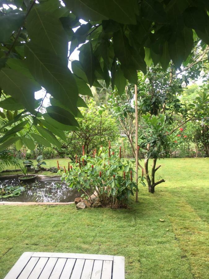 Le Jardin D'Alice Hotel ฟานเที้ยต ภายนอก รูปภาพ